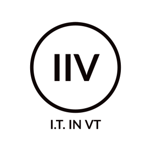 I.T. IN VT-1